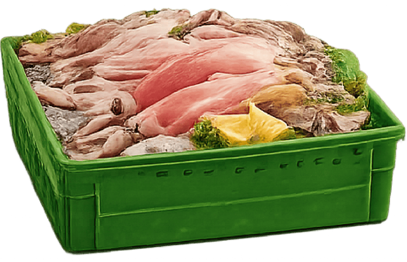 Mực, hộp mực, hải sản