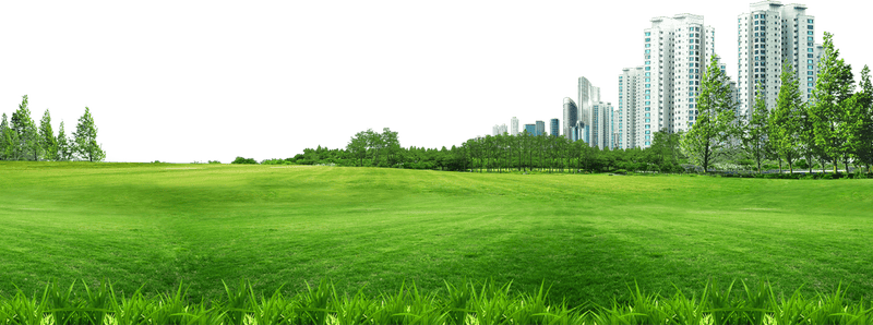 Bãi cỏ, hoa, grass 1