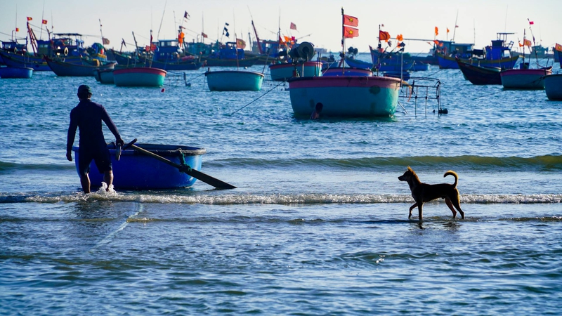 Biển, làng chài - Khang Ocean 1