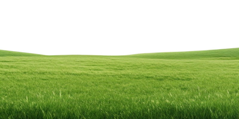 Cỏ, bãi cỏ 4