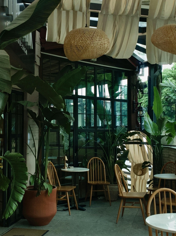 Cây kiểng, trang trí-şule
