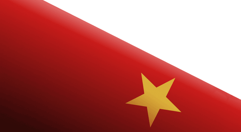 Cờ Việt Nam, lá cờ