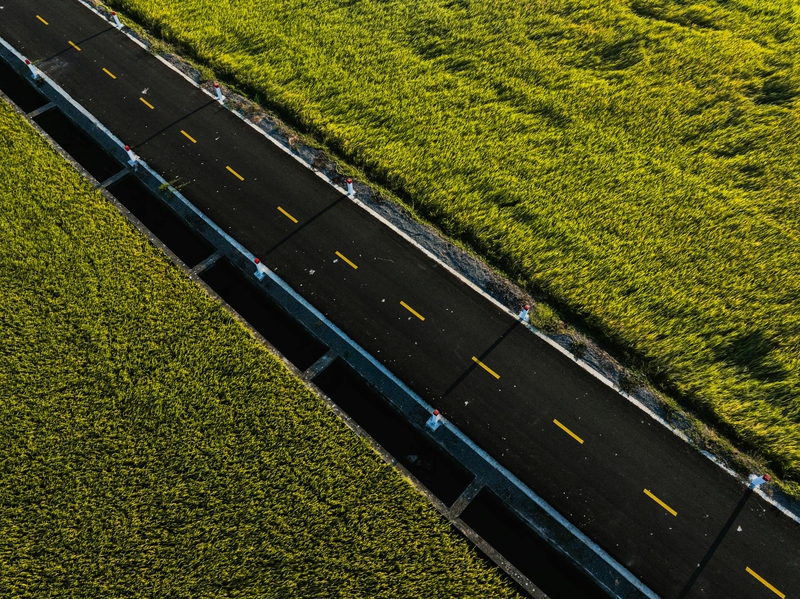 Đồng lúa, Việt Nam - VANNGO Ng 2