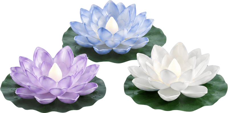 Đèn hoa sen, đèn nổi 4