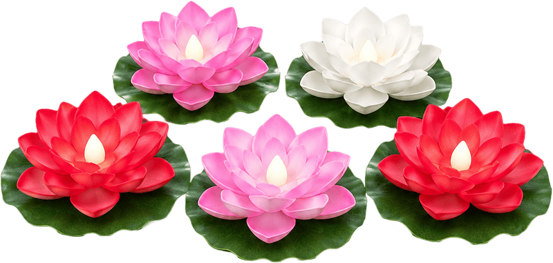 Đèn hoa sen, đèn nổi 1