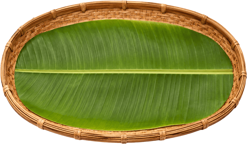 Khay đựng, đồ đựng 7