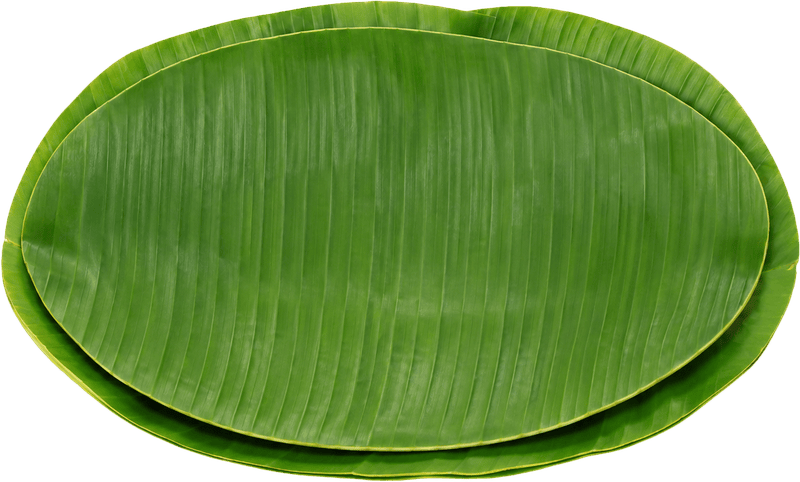 Khay đựng, đồ đựng 1