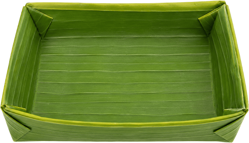 Khay đựng, đồ đựng 3