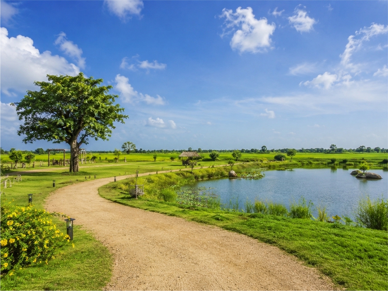 Cảnh đẹp, đồng bằng 6