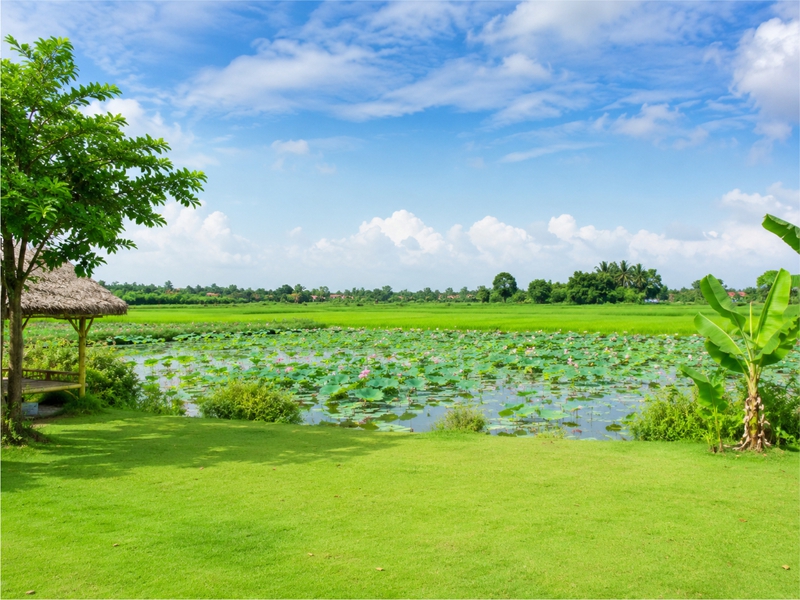 Cảnh đẹp, đồng bằng