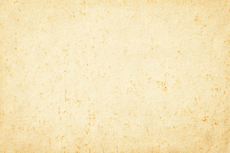 Giấy, paper 57