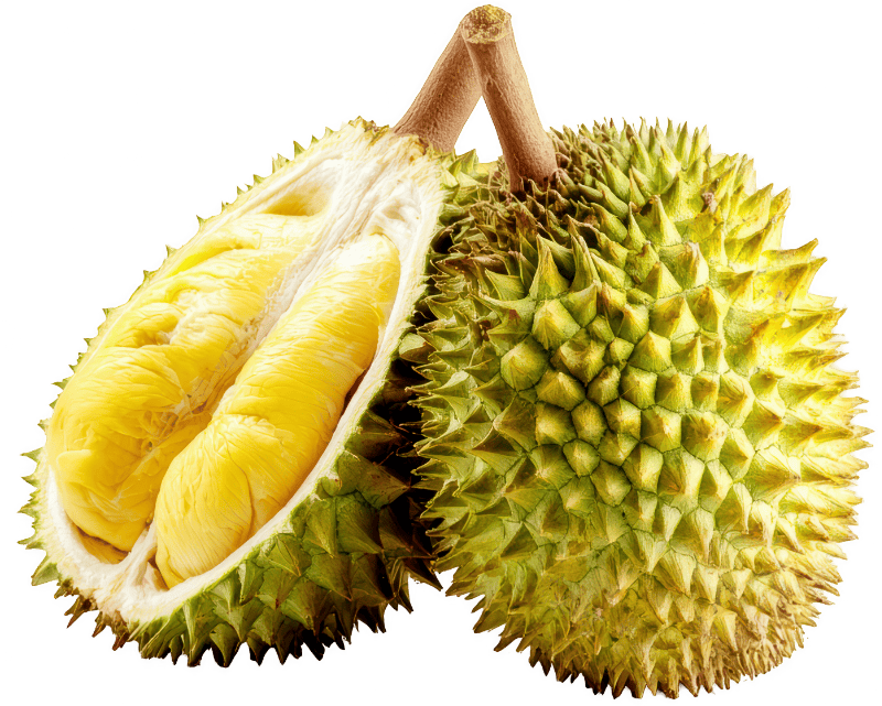 Sầu riêng, trái cây 2