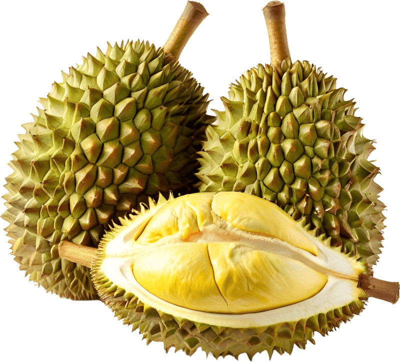 Sầu riêng, trái cây 1