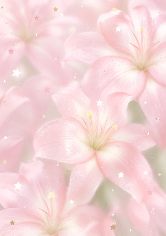 Hoa lily, nền hoa