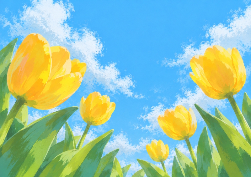 Hoa tulip vàng, tulip 1