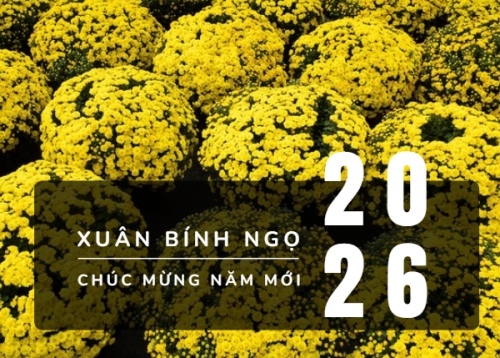 Mẫu thiết kế Lịch để bàn Tết, Xuân, Bính Ngọ, năm 2026, 2026, hiện đại, sang trọng, modern