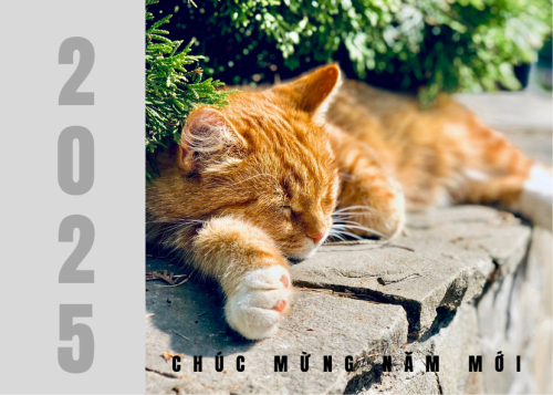 Mẫu thiết kế Lịch để bàn Tết, Xuân, Ất tỵ, năm 2025, 2025, hiện đại, sang trọng, modern