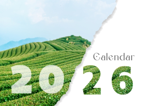 Mẫu thiết kế Lịch để bàn Tết, Xuân, Bính ngọ, năm 2026, 2026, hiện đại, modern, đơn giản, simple