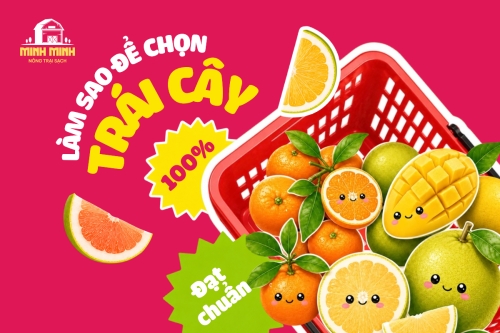 Làm sao để chọn trái cây đạt chuẩn