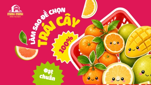 Làm sao để chọn tái cây đạt chuẩn