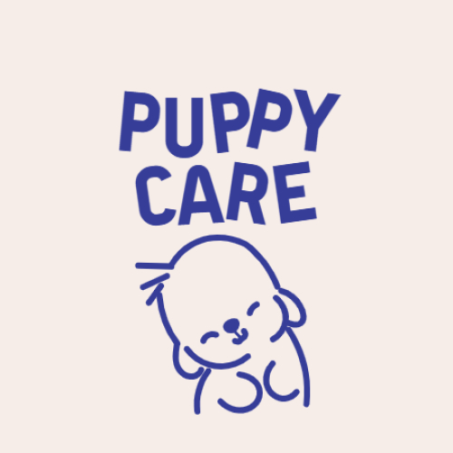Dog, chó, cún, puppy, pet, thú cưng, thú nuôi, động vật, animal