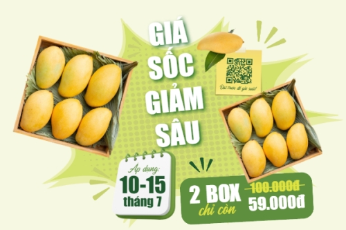 Xoài, trái cây, đồ ăn, food, thực phẩm, ẩm thực, món ăn, F&B, nhà hàng, thức ăn, y2k, cổ điển, vintage, retro, classic