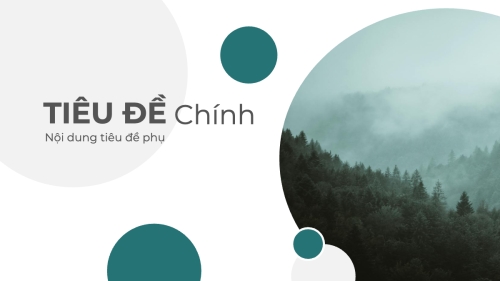 Thiên nhiên miền nhiệt đới