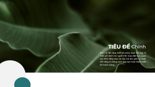 Thiên nhiên miền nhiệt đới — 5
