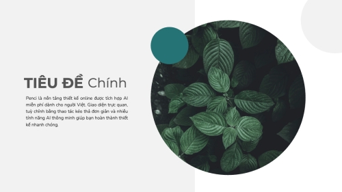 Thiên nhiên miền nhiệt đới — 6