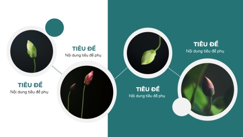 Thiên nhiên miền nhiệt đới — 7