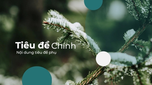 Thiên nhiên miền nhiệt đới — 8