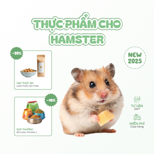 Thức ăn, thực phẩm, hamster, chuột, pet, thú cưng, thú nuôi, động vật, animal