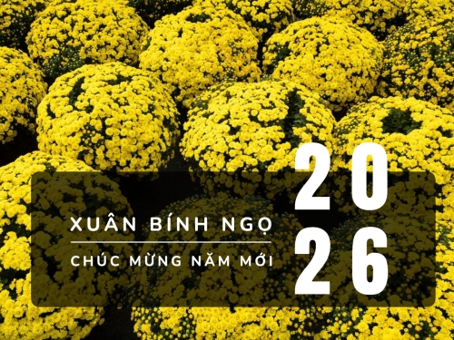 Hoa xuân ngày tết
