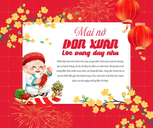 Mai nở đón xuân lộc vàng đầy nhà