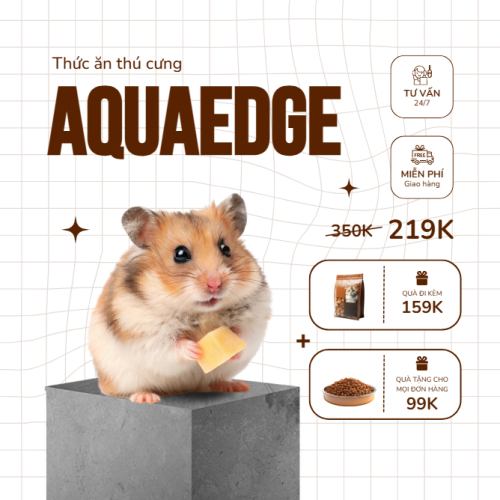 Hamster, chuột, thức ăn, thực phẩm, food, pet, thú cưng, thú nuôi, động vật, animal