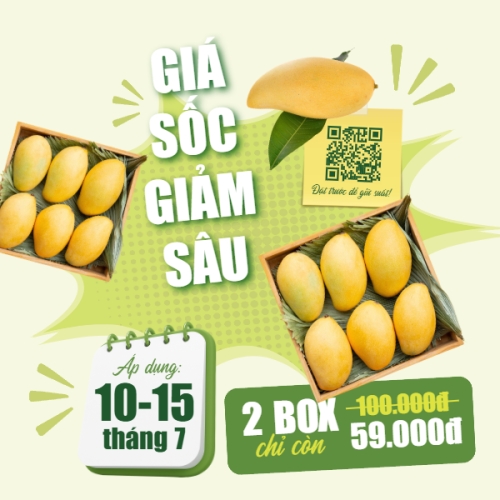 Xoài, trái cây, đồ ăn, food, thực phẩm, ẩm thực, món ăn, F&B, nhà hàng, thức ăn, y2k, cổ điển, vintage, retro, classic