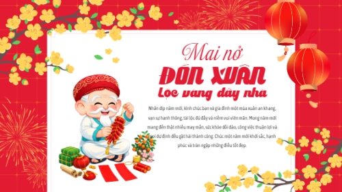 Mai nở đón xuân lộc vàng đầy nhà