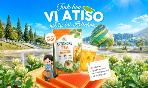 Tinh hoa vị Atiso hội tụ