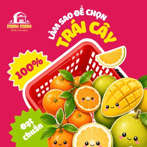 Làm sao chọn trái cây đạt chuẩn
