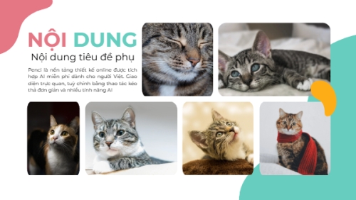 Thú cưng — 7