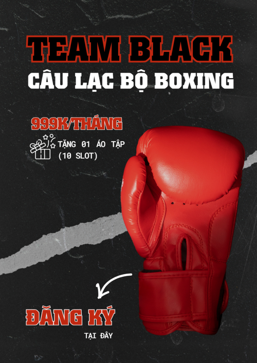 Sự kiện, event, chương trình, sale, giải trí, entertainment, boxing, thể thao