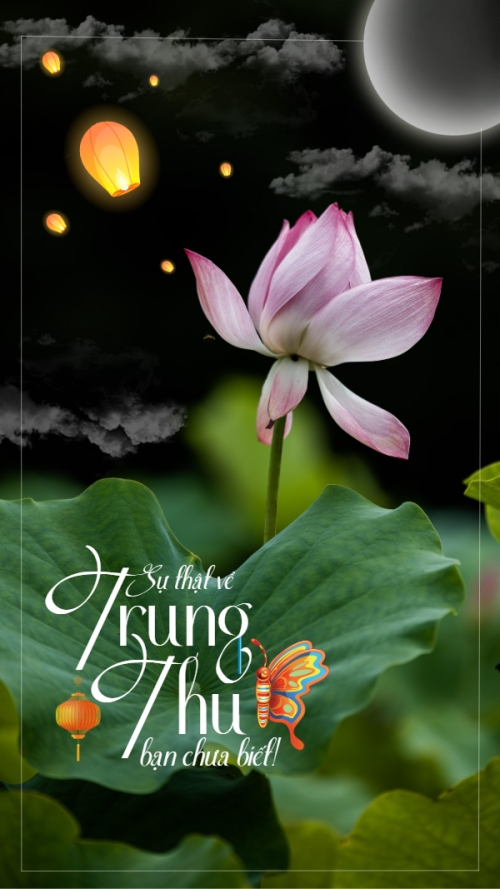 Trung thu, Tết Đoàn Viên, mid-autumn festival, sự kiện, event, hiện đại, modern, đơn giản
