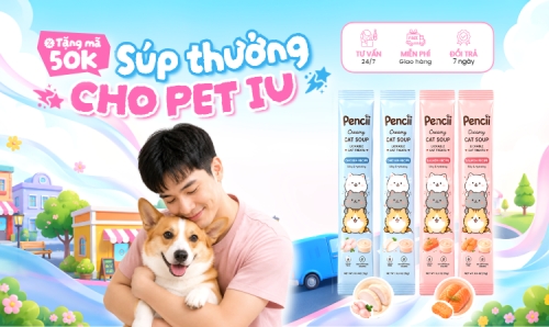 Súp thưởng cho Pet iu