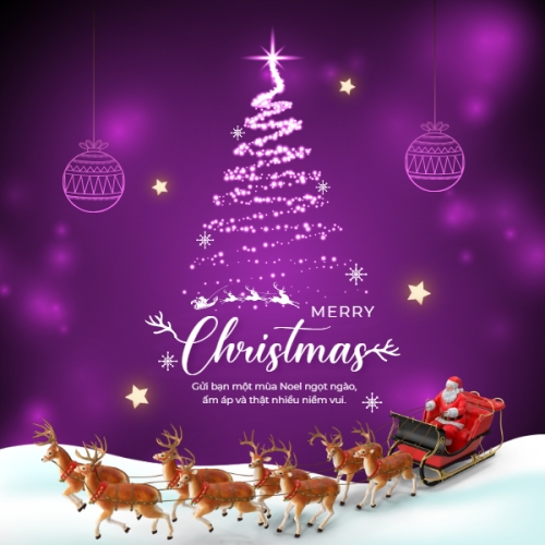 Merry Christmas