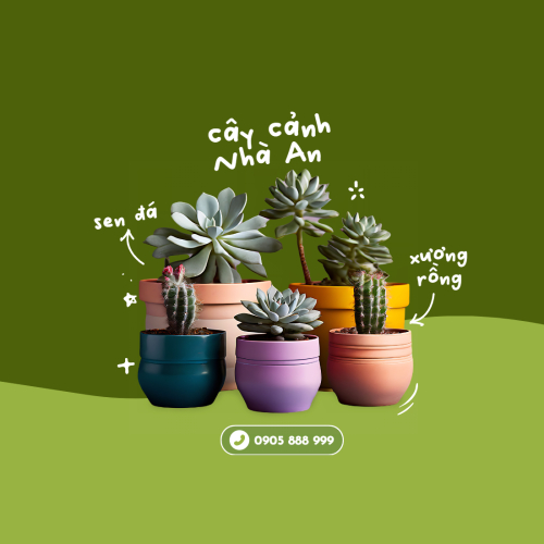 Nông sản, agricultural, farm, chậu cây, tree, pots, cây, cây cảnh, sen đá, xương rồng