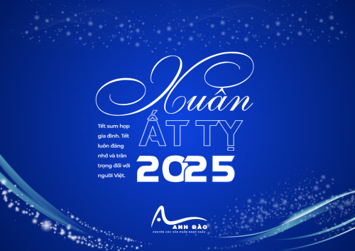Tết, Xuân, 2025, đơn giản, hiện đại
