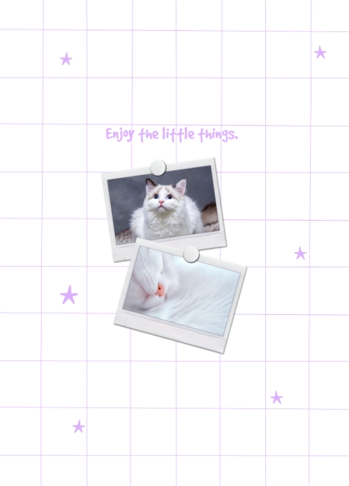 Dễ thương, cute, cat, mèo, cá nhân, nhân vật, personal style, signature	 — 2