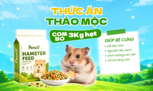 Thức ăn thảo mộc