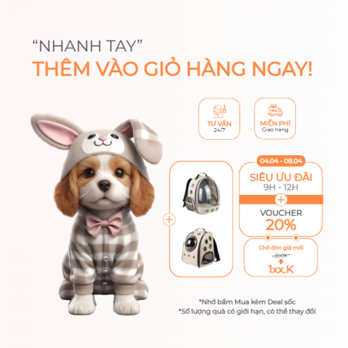 Chó, cún, dog, puppy, outfit, thời trang, pet, thú cưng, thú nuôi, động vật, animal