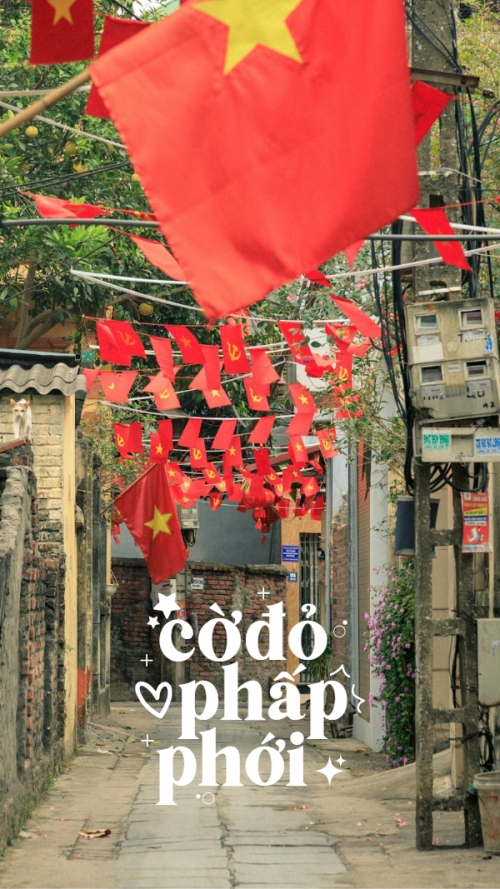 2/9, Quốc Khánh, lễ hội, Việt Nam, sự kiện, hiện đại, modern, sang trọng